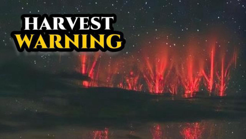 Farmers Lose Fertilizer World Food Supply Threatened