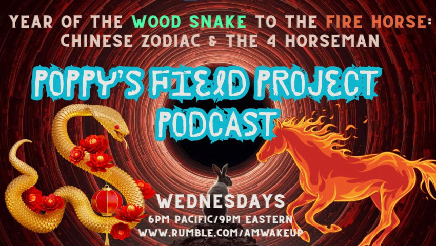 02/25/2026 Poppy's Field Project