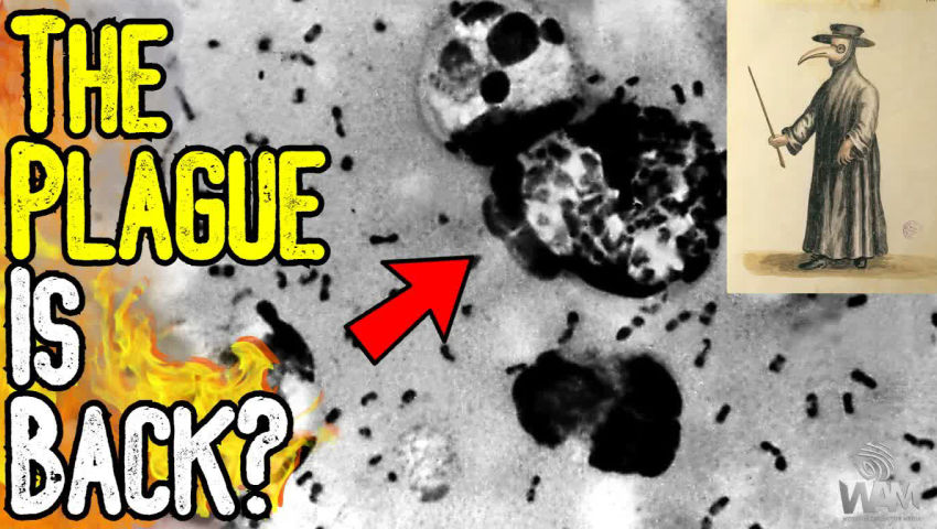 BREAKING: THE PLAGUE IS BACK? - Russia Lab Leak Story Hits Headlines - It's All Too Convenient episode artwork