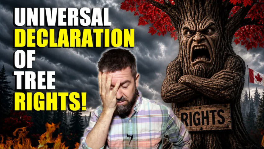 Quebec Town Declares Trees Are SENTIENT BEINGS WITH RIGHTS!! Canada’s Latest ABSURDITY Explained!! episode artwork