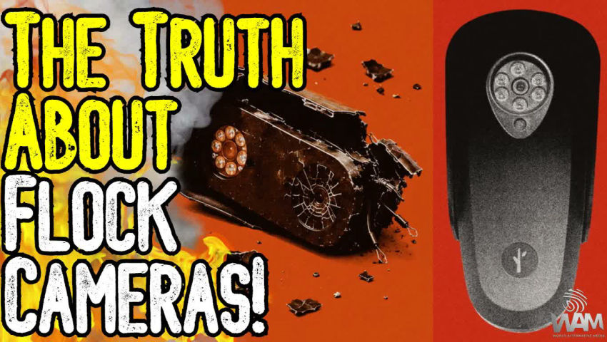THE TRUTH ABOUT FLOCK CAMERAS! - Exposing The Surveillance State & The Modus Operandi episode artwork