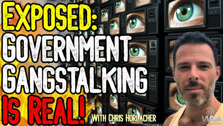 EXPOSED: GOVERNMENT GANGSTALKING IS REAL! - CEO Spied On & Targeted! - He Has The Receipts! episode artwork