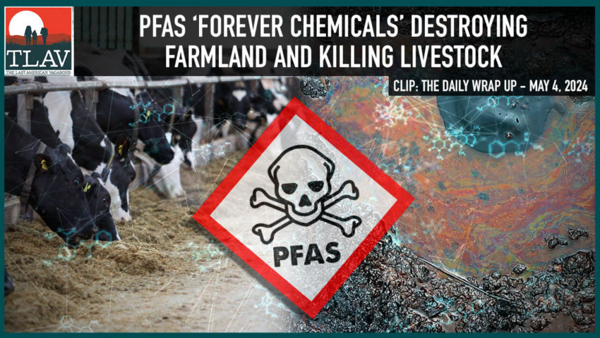 PFAS 'Forever Chemicals' Destroying Farmland and Killing Livestock