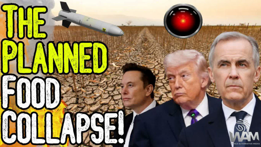 EXPOSED: THE PLANNED FOOD COLLAPSE! - As Shortages Loom, Globalists Plan Technocratic Future!