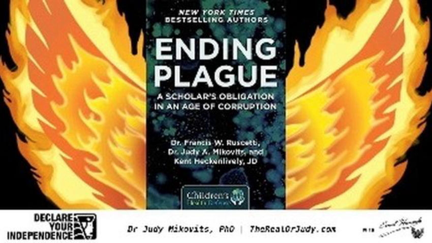 2026-02-04 Dr Judy Mikovits - What Now