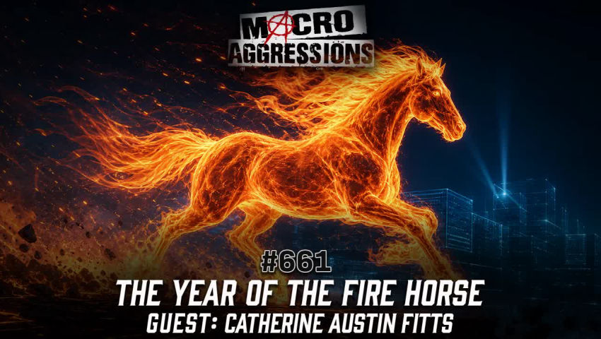 #661: The Year of the Fire Horse | Catherine Austin Fitts episode artwork