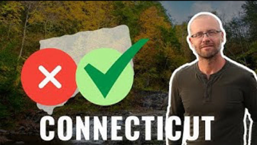 Homesteading in Connecticut ? episode artwork