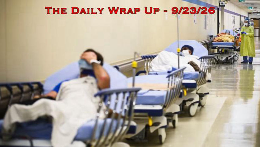 The Chemotherapy Lie, For-Profit Medical Tyranny & Palantir's NHS Take Over