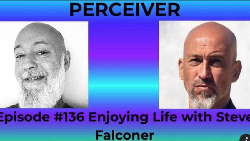 This Side & The Other Side:  Joel Schafer / Steve Falconer