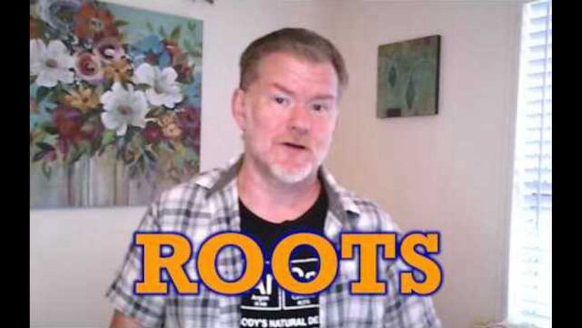 Roots