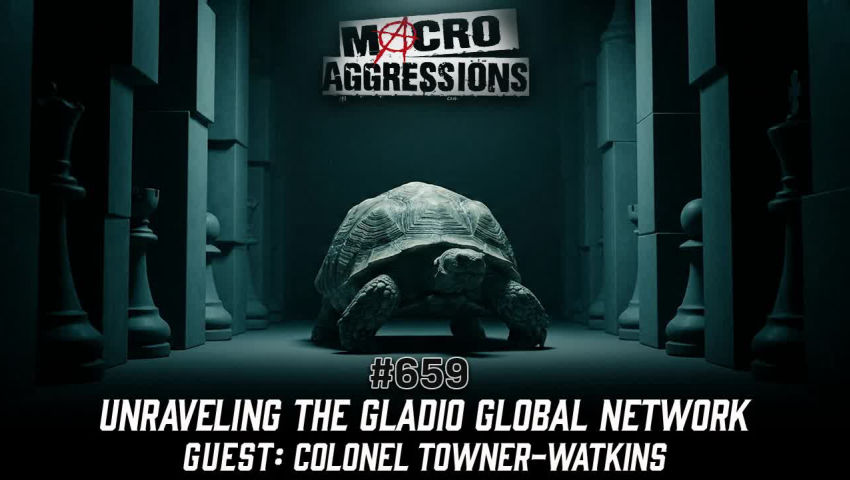 #657: Unraveling the Gladio Global Network | Colonel Towner-Watkins (Clip) episode artwork