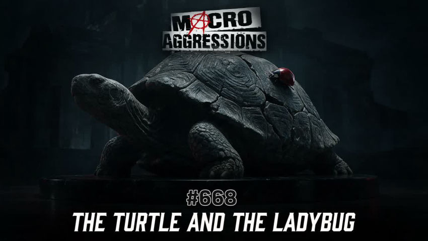 #668: The Turtle and the Ladybug (Clip) episode artwork
