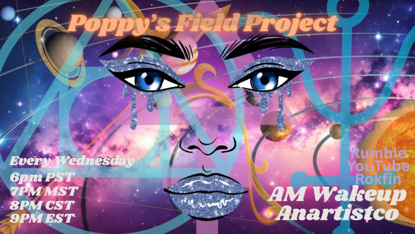 09/03/2025 Poppy's Field Project