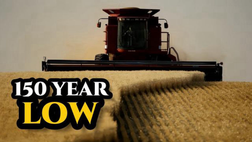 Is Your Family Prepared for the New Food Reality?