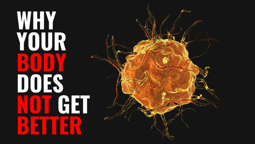 The Cause and Progression of Disease: Homotoxicology