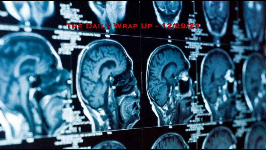 South Africa Invokes Genocide Convention For Gaza & The Neuroweapon Side To The COVID Illusion
