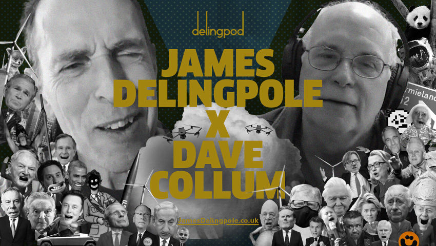 Dave Collum