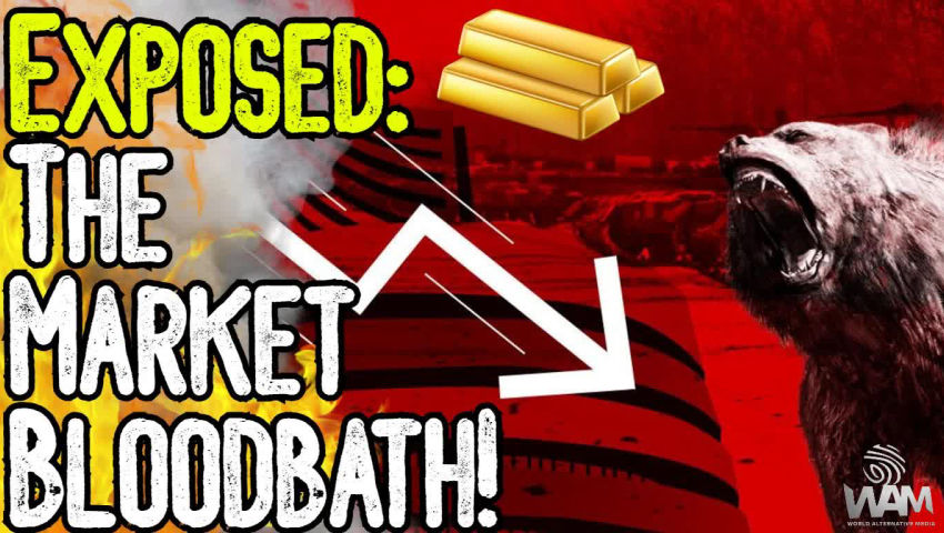 EXPOSED: THE MARKET BLOODBATH! - Why Is Gold Falling? - Severe Market Manipulation!