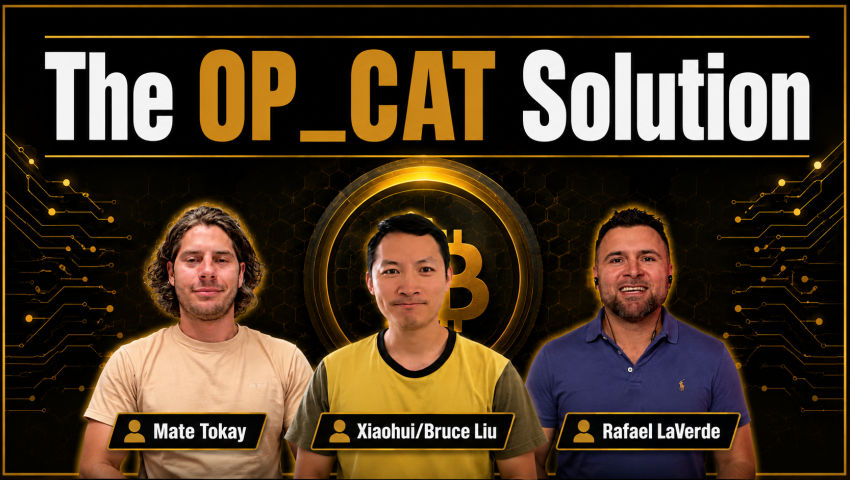 Stop Settling for Digital Gold: OP_CAT and the Restoration of Satoshi's Vision episode artwork