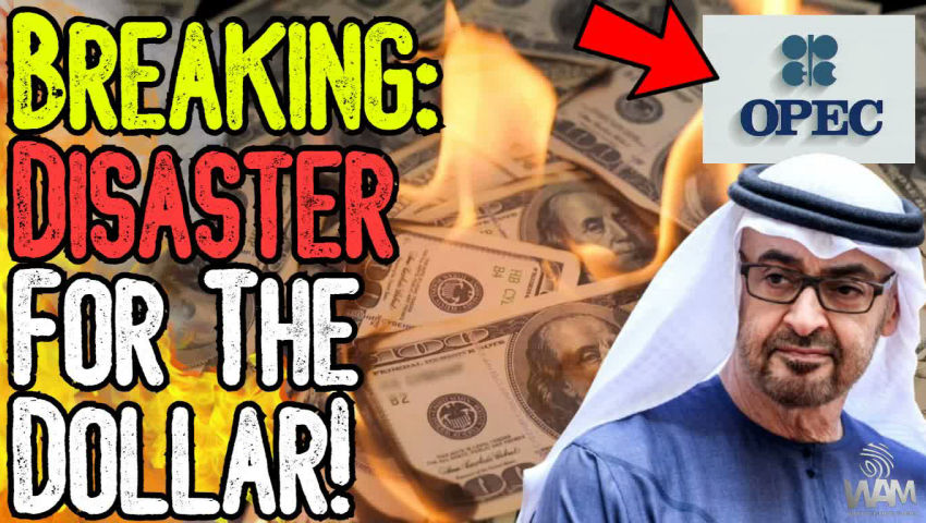BREAKING: DISASTER FOR THE DOLLAR! - UAE Leaves OPEC As Global Monetary System Shifts!