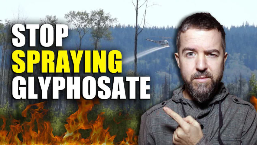 While They SPRAY GLYPHOSATE OVER THE WOODS Bayer Attempts To LIMIT ITS LEGAL LIABILITY!!!