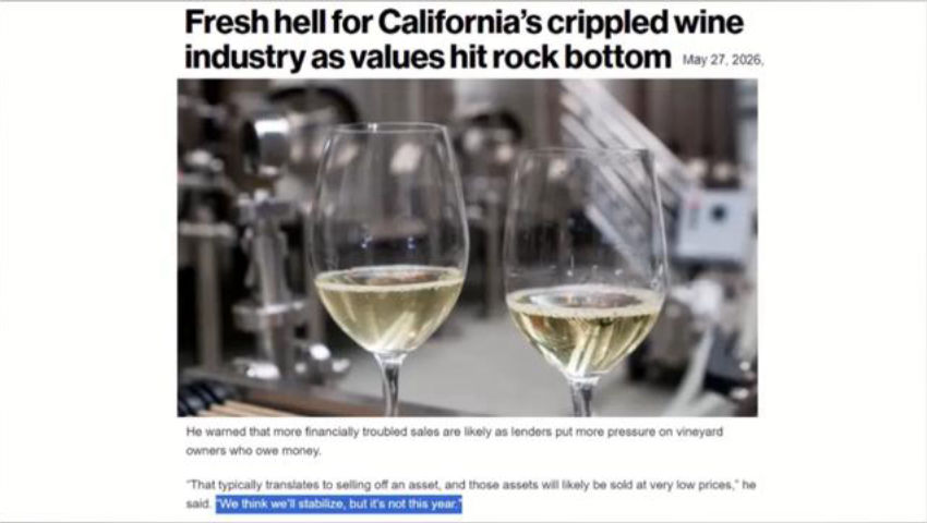 California Wine Industry COLLAPSING episode artwork