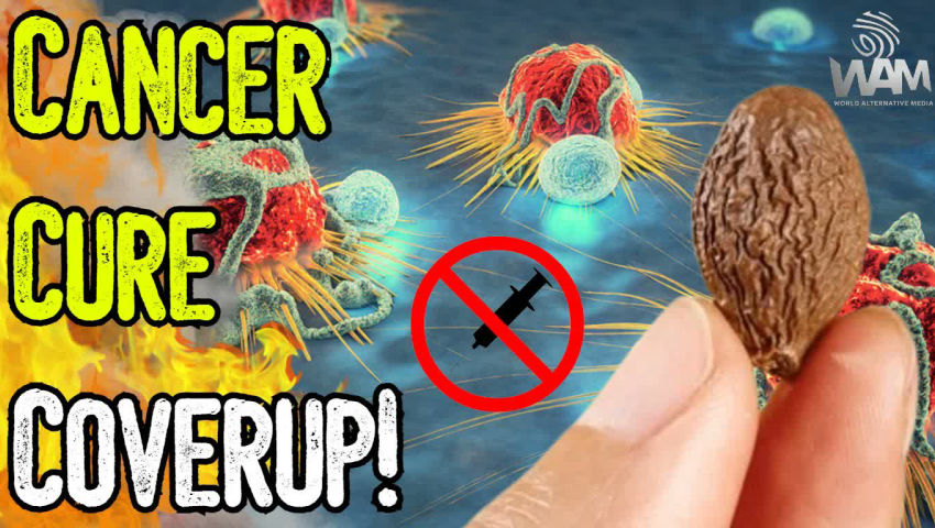 NEW: CANCER CURE COVERUP! - Cancer Rates Skyrocket As Establishment Hides Solutions!