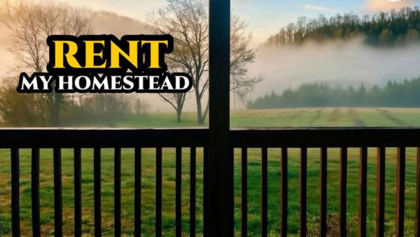 Rent MY HOMESTEAD in East Tennessee
