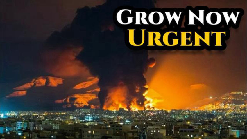 Global Fuel Disruptions and Polar Vortex Collapse in Planting Season