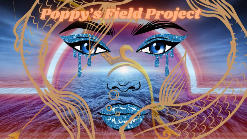 02/18/2026 Poppy's Field Project