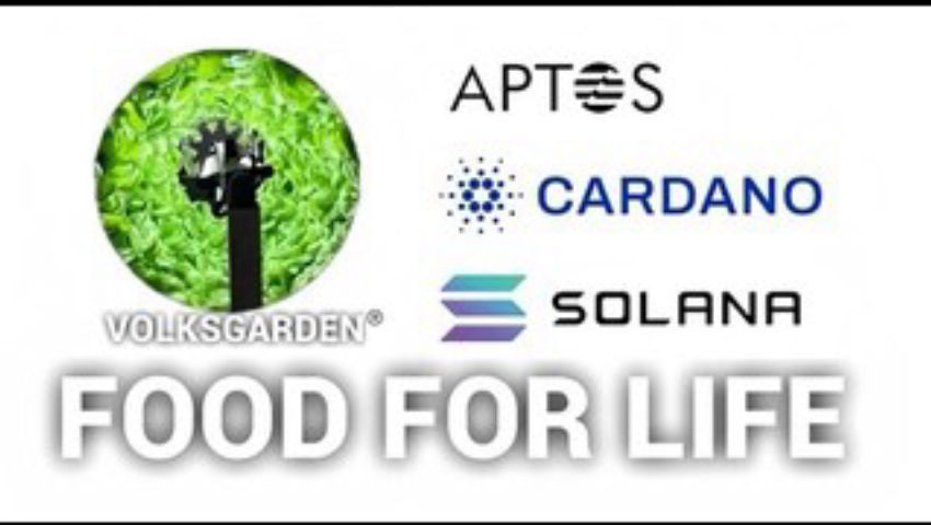 Adapt 2030