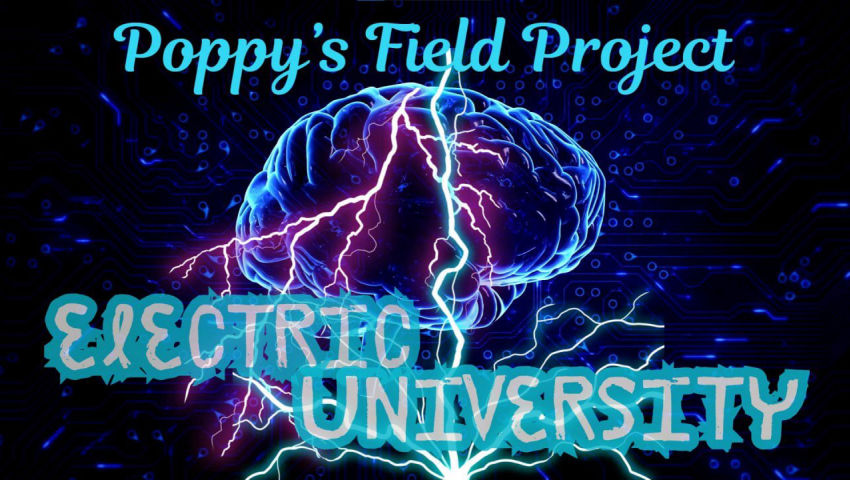 11/05/2025 Poppy's Field Project